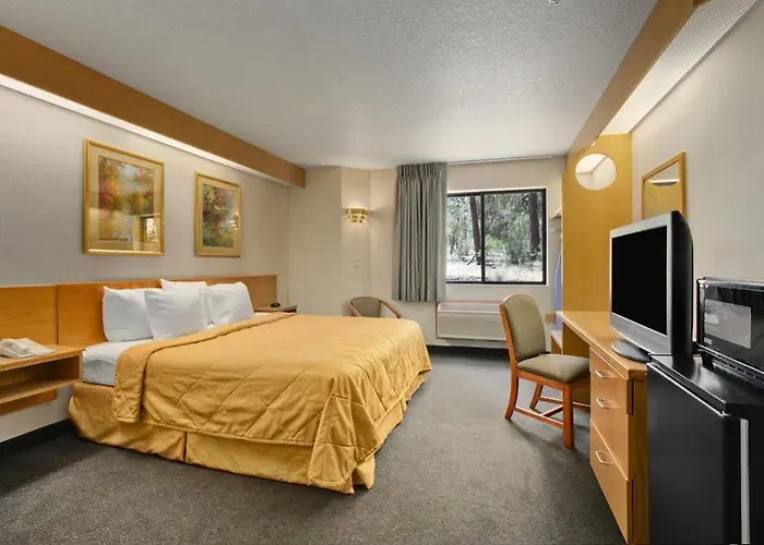 Hotel Super 8 By Wyndham Show Show Low