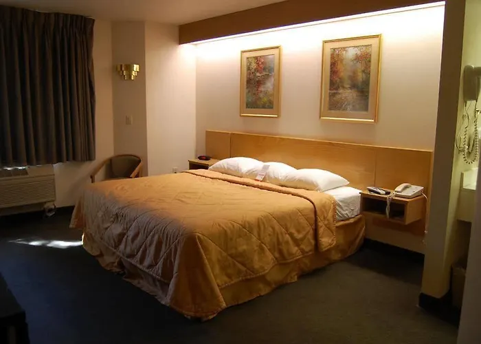 Hotel Super 8 By Wyndham Show Show Low
